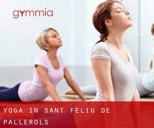 Yoga in Sant Feliu de Pallerols