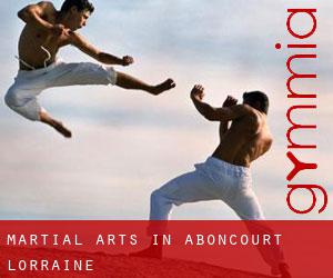 Martial Arts in Aboncourt (Lorraine)