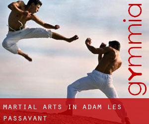 Martial Arts in Adam-lès-Passavant