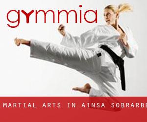 Martial Arts in Aínsa-Sobrarbe