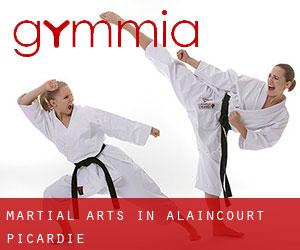 Martial Arts in Alaincourt (Picardie)