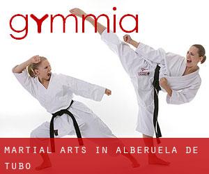 Martial Arts in Alberuela de Tubo