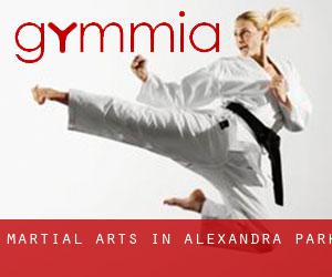 Martial Arts in Alexandra Park