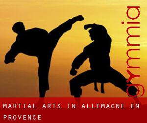 Martial Arts in Allemagne-en-Provence