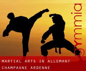Martial Arts in Allemant (Champagne-Ardenne)