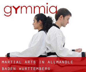 Martial Arts in Allmandle (Baden-Württemberg)