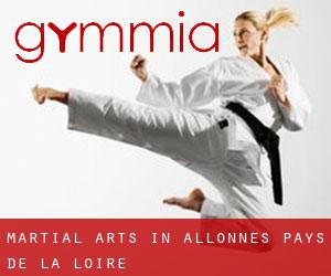 Martial Arts in Allonnes (Pays de la Loire)