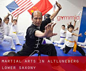 Martial Arts in Altluneberg (Lower Saxony)