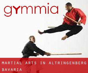 Martial Arts in Altringenberg (Bavaria)