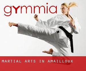 Martial Arts in Amailloux