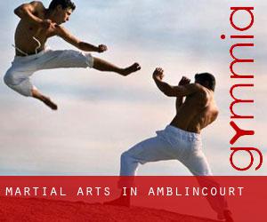 Martial Arts in Amblincourt