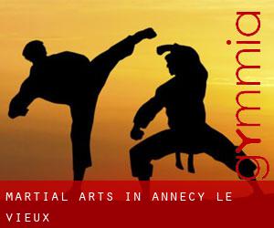 Martial Arts in Annecy-le-Vieux