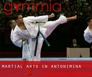Martial Arts in Antonimina