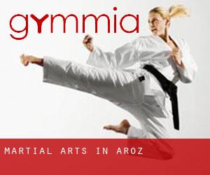 Martial Arts in Aroz