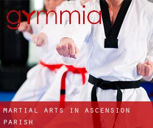 Martial Arts in Ascension Parish