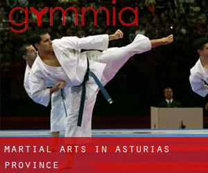 Martial Arts in Asturias (Province)