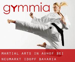 Martial Arts in Auhof bei Neumarkt i.d.OPf. (Bavaria)