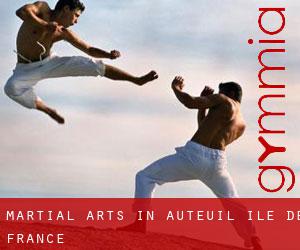 Martial Arts in Auteuil (Île-de-France)