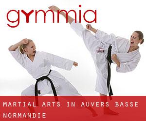 Martial Arts in Auvers (Basse-Normandie)