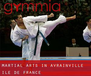 Martial Arts in Avrainville (Île-de-France)