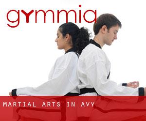 Martial Arts in Avy