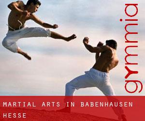 Martial Arts in Babenhausen (Hesse)