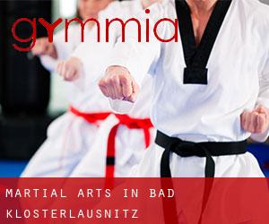 Martial Arts in Bad Klosterlausnitz