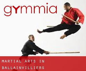 Martial Arts in Ballainvilliers