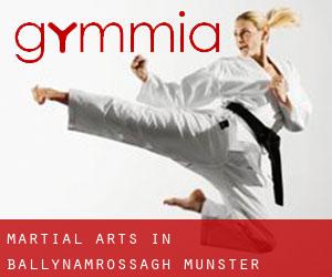 Martial Arts in Ballynamrossagh (Munster)
