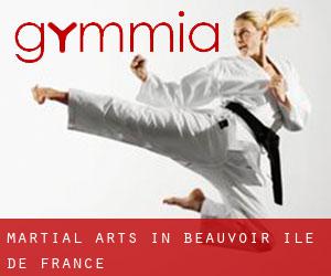 Martial Arts in Beauvoir (Île-de-France)