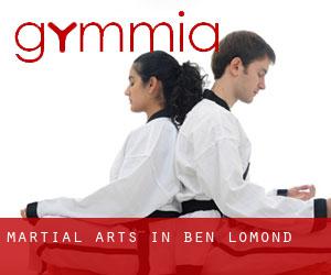Martial Arts in Ben Lomond