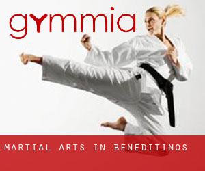 Martial Arts in Beneditinos