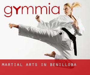 Martial Arts in Benilloba