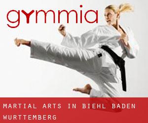 Martial Arts in Biehl (Baden-Württemberg)