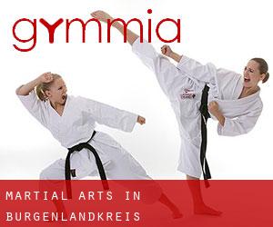 Martial Arts in Burgenlandkreis