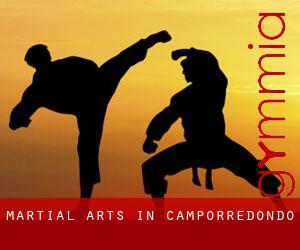 Martial Arts in Camporredondo