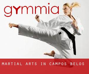 Martial Arts in Campos Belos