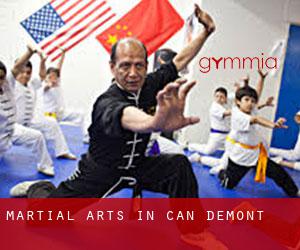 Martial Arts in Can Demont