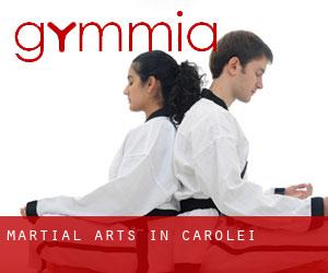 Martial Arts in Carolei