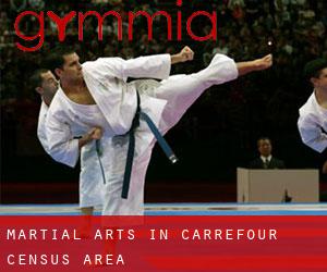 Martial Arts in Carrefour (census area)