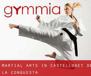 Martial Arts in Castellonet de la Conquesta