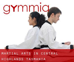 Martial Arts in Central Highlands (Tasmania)