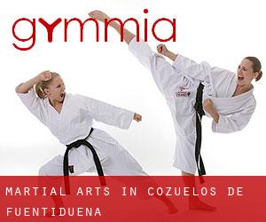 Martial Arts in Cozuelos de Fuentidueña