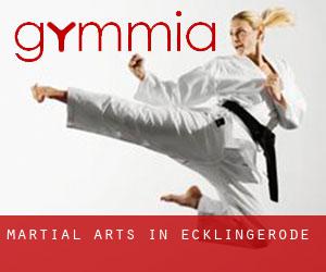 Martial Arts in Ecklingerode