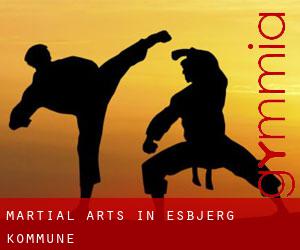Martial Arts in Esbjerg Kommune