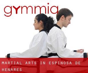 Martial Arts in Espinosa de Henares