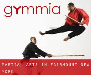 Martial Arts in Fairmount (New York)