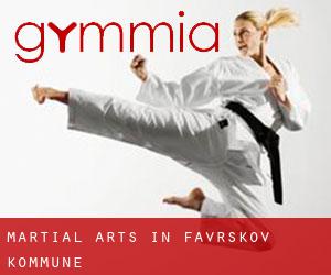 Martial Arts in Favrskov Kommune