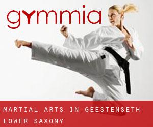 Martial Arts in Geestenseth (Lower Saxony)