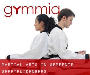 Martial Arts in Gemeente Geertruidenberg
